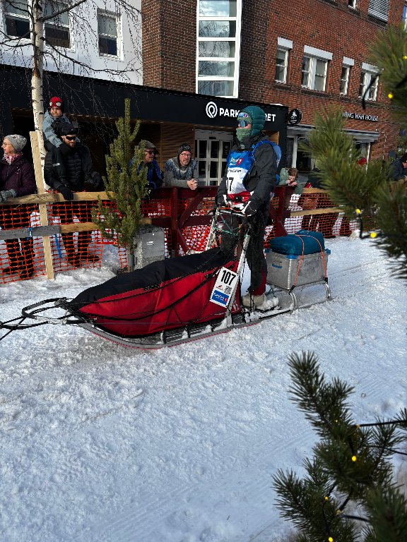 Tuuli at the startline of finmarkslopet 2026
